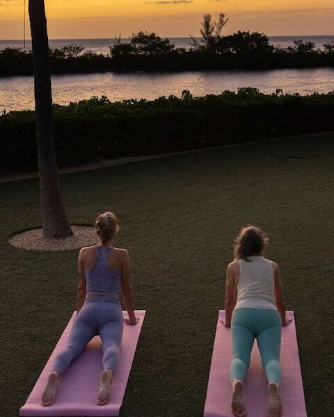 Two people are practicing yoga on mats, facing a sunset over water, surrounded by trees and grass.