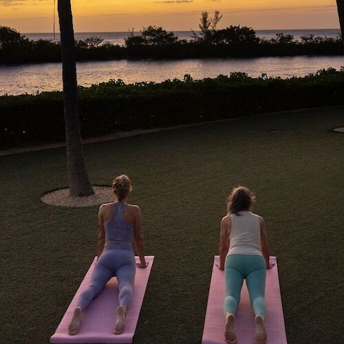 Two people are practicing yoga on mats, facing a sunset over water, surrounded by trees and grass.
