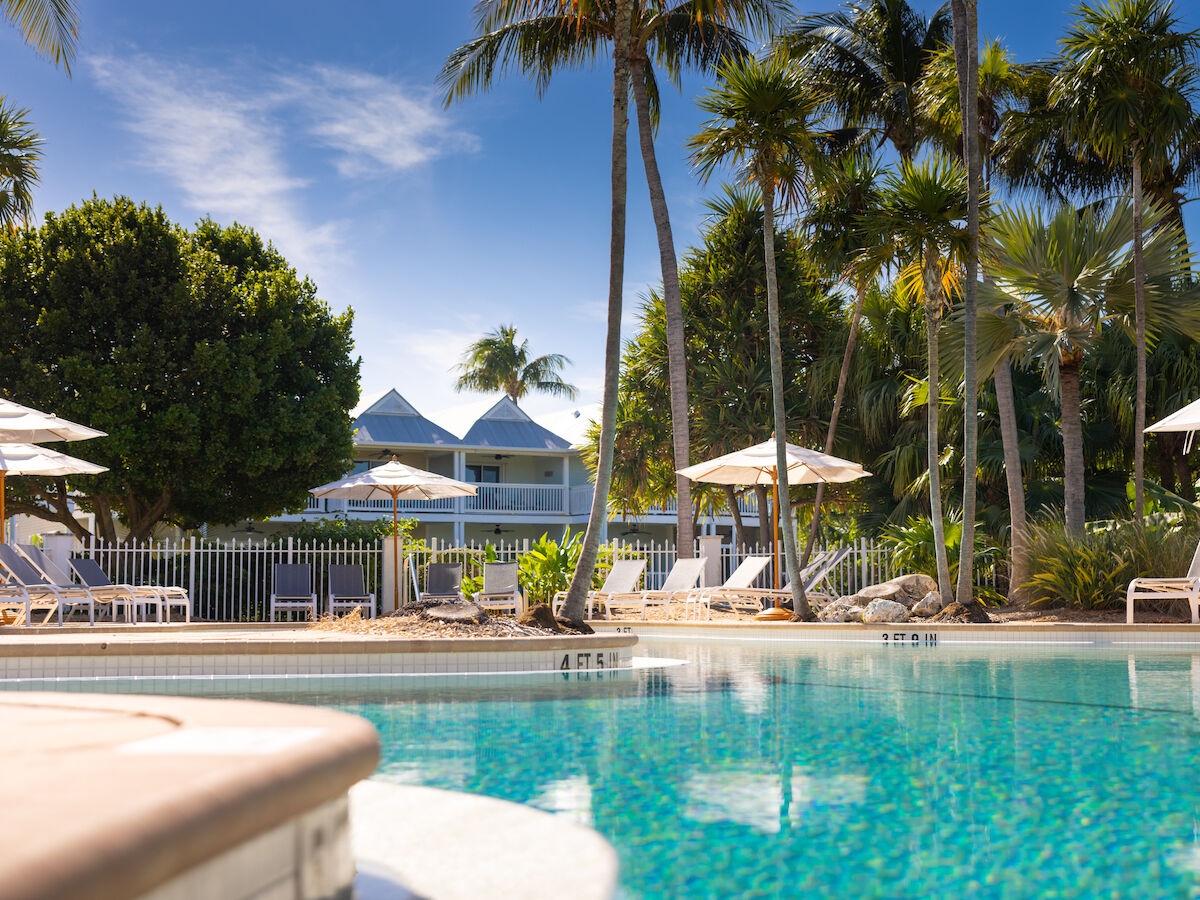 A serene pool setting with lounge chairs, umbrellas, and palm trees under a clear sky, creating a tropical resort vibe.