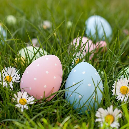 Colorful Easter eggs with polka dots are nestled in grass, surrounded by small white daisies, creating a festive springtime scene.